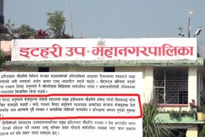 मिसन टोलीको रिपोर्ट : मेयरलाई उत्तेजित पार्नु पत्रकारको गल्ती