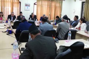 नेपालको नयाँ नक्सा जारी गर्न सरकारलाई निर्देशन