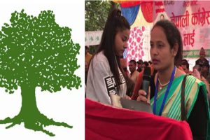 पूर्वी चितवनको खैरहनी नगरपालिका–५ मा नेपाली काँग्रेस विजयी