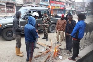 डिभिजन वन कार्यालय गाईघाटद्वारा न्यानोको अनुभुती दिलाउन आगो बालेर ताप्ने ब्यबस्था