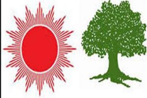 पाँचथर : फिदिम- १ मा नेकपा र हिलिहाङ- ७ मा कांग्रेस विजयी