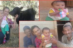 लिम्चुङबुङ गाउँपालिकाले अनुदान दिएको गाईले बचायो दलित बालिकाको जीबन