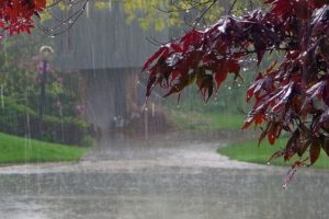 आज देशभर मौसम बदली‚ वर्षा र हिमपात हुने