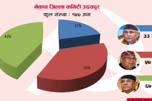 उदयपुरमा नेकपाको शक्ति सन्तुलन : ओली पक्ष ज्यादै कमजोर (नामावली सहित)