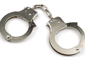 १२ वर्षिय बालिका बलात्कार गरेको आरोपमा महरा पक्राउ