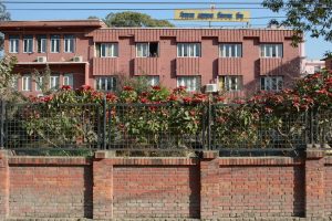 आयल निगमद्वारा एकै पल्ट ८१ कर्मचारीको सरूवा