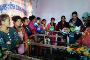 उदयपुरमा ढाका बुनाई तालिम शुरु