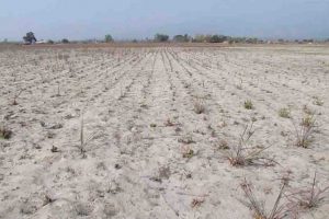 बेलका नगरपालिकाको उत्पादन वर्ष नारामै सिमित (भिडियो सहित)