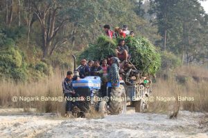 चुरे वन क्षेत्र उजाडिँदै