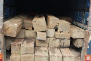 लाखौंको अबैध काठ बरामद