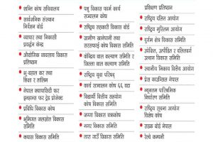 राष्ट्रिय युवा परिषद सहित ३२ निकाय खारेज गर्न सुझाव