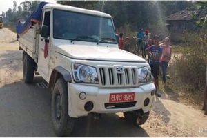 अवैध सुपारी तस्करमा संलग्न पिक अप जिप पक्राउ