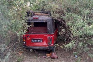 मिनी ट्रकले म्याजिकलाई ठक्कर दिँदा १२ घाइते