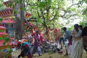 बुद्ध जयन्तीको दिन हजारौं बलि दिइन्छ राजदेवी मन्दिरमा