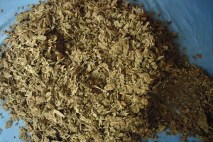 उदयपुरमा गाँजा सहित ६ जना पक्राउ