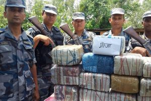 अबैध लागु पदार्थ गाँजा बरामद