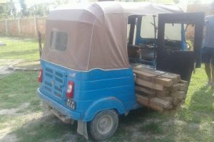 २८ थान सखुवाको अवैध काठ बरामद