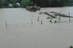त्रियुगा नदीको बाँध फुट्दा १० घर परिवार बाढीमा फस्यो, घरको छाना छानामा चढेर उद्धारको आचना