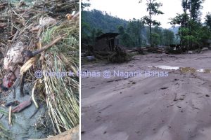 बाख्रा बचाउँदा छोराको ज्यान गयो, उदयपुरमा मृतकको संख्या तीन पुग्यो