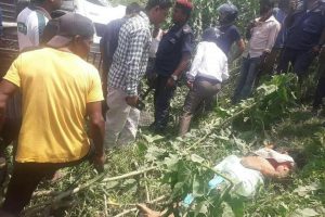 म्याजिक र ट्रक एक आपसमा ठोकिदा ३ जनाको मृत्यु, १२ घाईते, १ गम्भीर