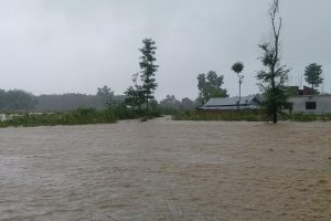 त्रियुगा नदी अपडेट : त्रियुगा नदीले बेलका नगरपालिकामा २ हजार घर डुवान