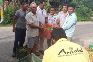त्रियुगाका कृषकलाई फलफुलका विरुवा वितरण