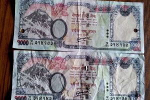 उदयपुरमा ४० हजार नक्कली नोटसहित अनिल पक्राउ