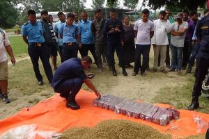 विष्फोटक पदार्थ पटाकासहित महिला पक्राउ