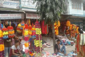 फूलको पर्वमा फुलकै अभाव