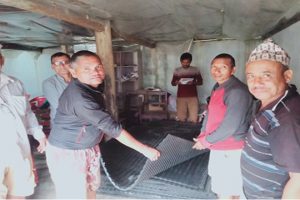 उदयपुरगढीका पशुपालक कृषकलाई काउम्याट वितरण