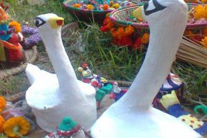 प्रेमको प्रतीक सामाचकेवा पर्व सुरु