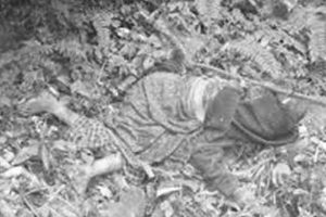 रुख ढलेर एक महिलाको मृत्यु