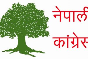 उदयपुर काँग्रेसमा मतगणनाको क्रममा मत पत्र च्यातियो, तीन ठाउँको मत परिणाम सार्वजनिक