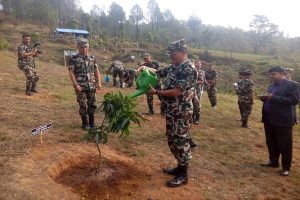 छोराछोरी सरह बिरुवा हुर्काउँदै नेपाली सेना