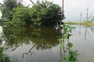 सालघारीमा आईल्याण्ड सहितको पर्यटकीय हरित पार्क निर्माण हुँदै