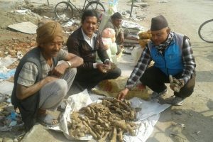माघे संक्रान्ति नजिकिएसंगै बजारमा बढ्यो कन्दमुलको व्यापार