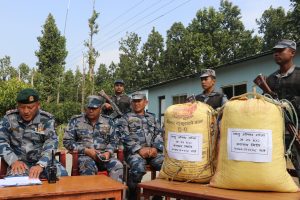 उदयपुरमा सशस्त्र प्रहरीद्वारा ५० केजी अवैध गाँजा बरामद