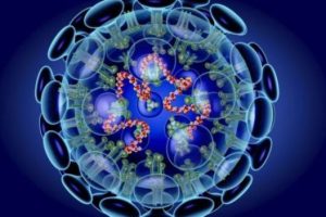 नेपालमा पनि खतरनाक कोरोना भाइरस संक्रमणको विरामी भेटियो