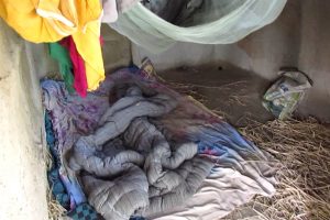 उदयपुरमा चिसो भुइँमा परालकै भरमा विपन्न परिवार