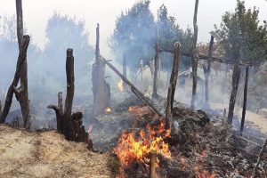 उदयपुरगढीको हाडेबासमा भिषण आगलागी