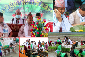 उदयपुरको बहेडवामा कृषी तथा पशुपन्छी मन्त्री सहित यसरी मनाए १७ औं धान दिवस (२५ तस्विर सहित)