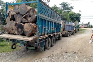 उदयपुरमा ३ ट्रक अबैध काठ पक्राउ