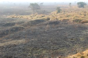 बेलका नगरपालिकामा थप ५ वटा कबुलियती वन ब्लक दर्ता प्रक्रिया अघि बढ्यो