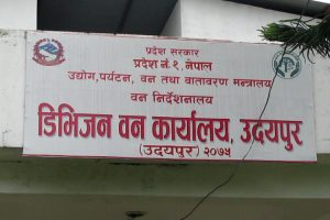 वन अतिक्रमण आरोपी ७ जना विरुद्ध पुनः १० दिनको म्याद थप