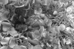 कासघारीमा एक जना मृत फेला