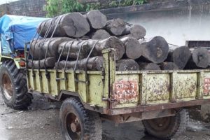 उदयपुरमा अवैध काठ सहित ट्याक्टर पक्राउ