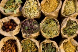 कागजपत्र विनाको करिव ११ लाख बराबरको जडीबुटी तथा वनस्पति पक्राउ