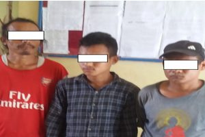 बेलका नगरपालिकामा १०८ क्युवी फुट काठ काटेको आरोपमा तीन जना पक्राउ