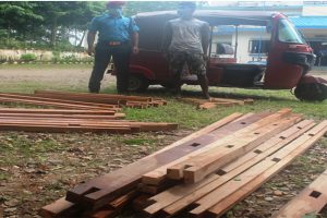 कटारीमा अबैध काठ सहित एक जना पक्राउ