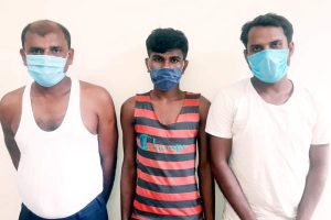 विचौलियाको काममा संलग्न ३ जना पक्राउ